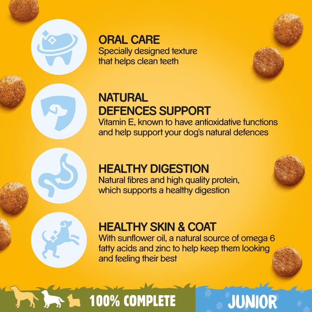 PEDIGREE® COMPLETE™ Junior/Puppy Dry Chicken and Rice 10kg