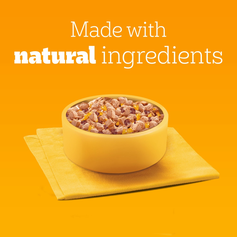 PEDIGREE® Adult Wet Dog Food Chunks in Jelly with Chicken 385g Can