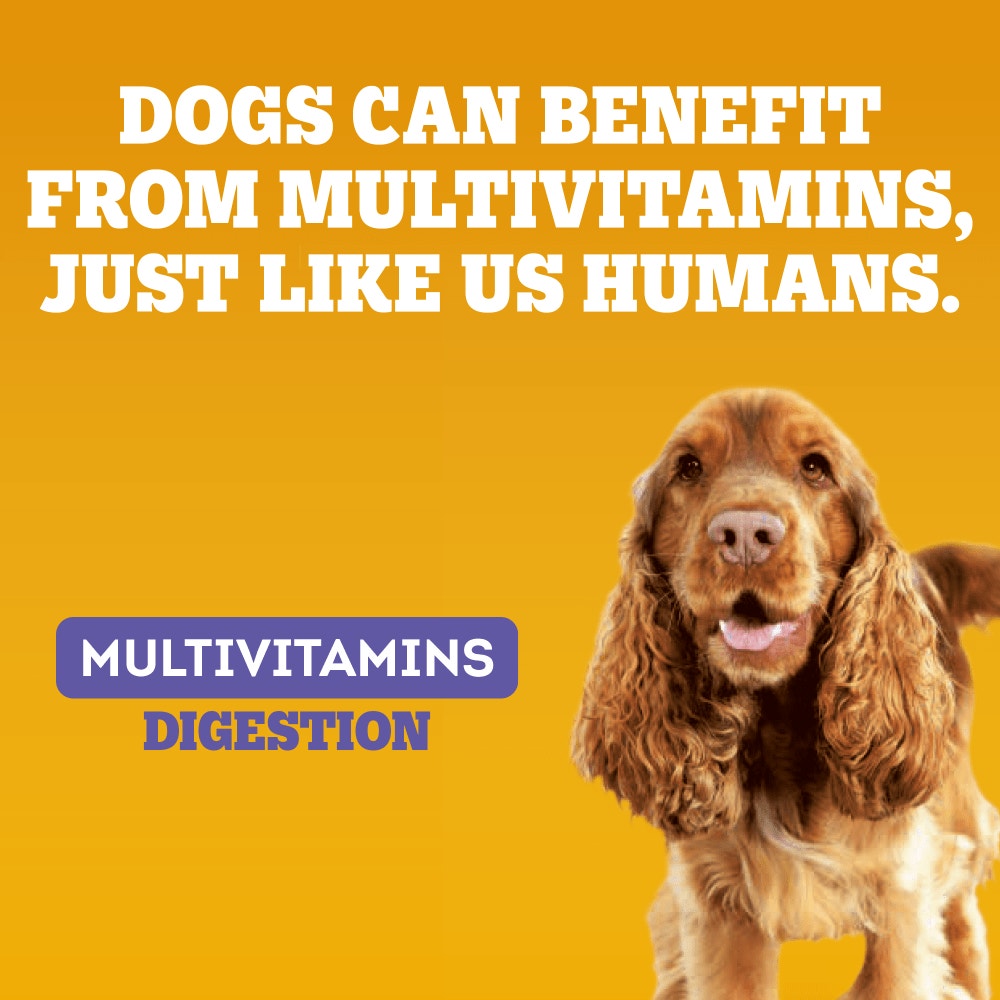PEDIGREE® Multivitamins Digestion 30 Soft Dog Chews 180g
