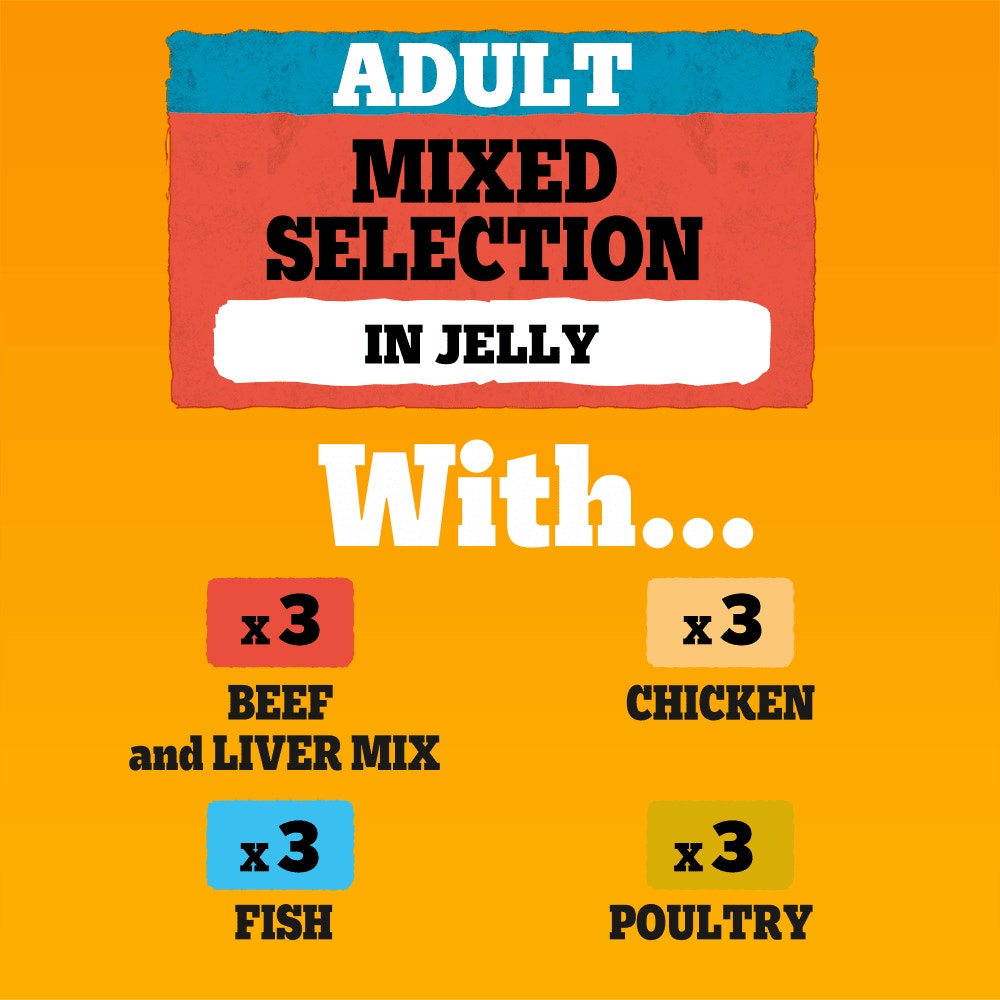 PEDIGREE® Adult Wet Dog Food Mixed Selection In Jelly Pouch 80 x 100g,40 x 100g,12 x 100g