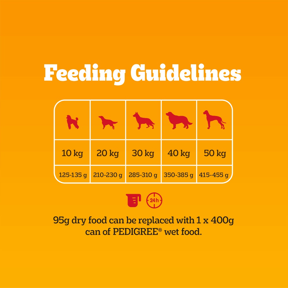 PEDIGREE COMPLETE Senior Dry Dog Food Poultry and Vegetables 3kg