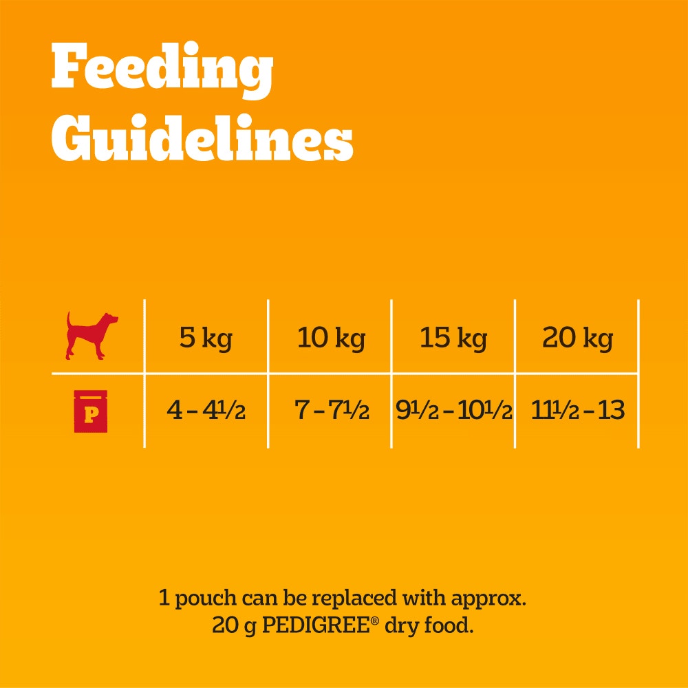 PEDIGREE® Adult Wet Dog Food Pouches Chicken in Jelly 3 x 100g