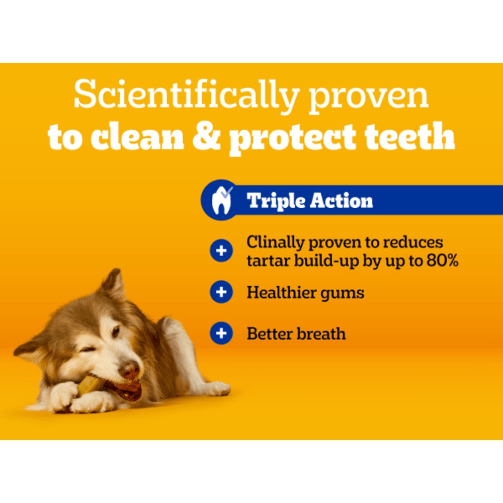 PEDIGREE DENTASTIX Daily Dental Chews Large Dog 105 Sticks, 42 Sticks, 21 Sticks Chicken & Beef