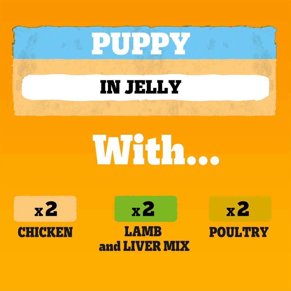 PEDIGREE® Junior Puppy Wet Dog Food Mixed Selection in Jelly 6 x 400g Can
