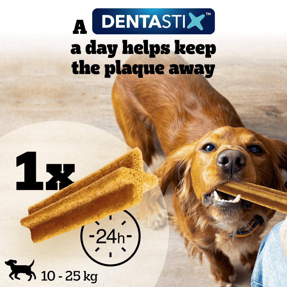 PEDIGREE® DENTASTIX™ Light Daily Dental Chews Medium Dog Treats 5 & 28 Sticks