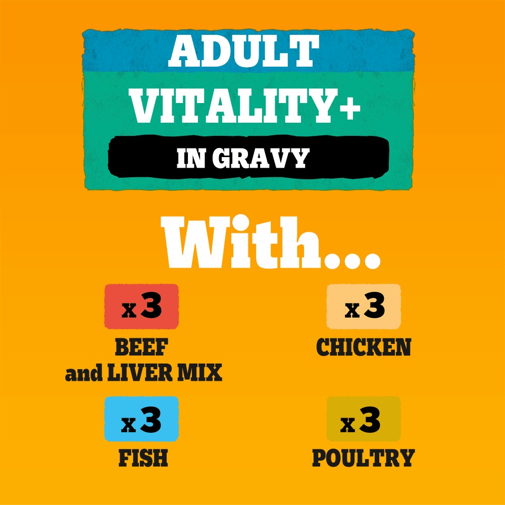 PEDIGREE® VITALITY+  Adult Wet Dog Food Selection in Gravy Pouch 12x85g, 40x85g