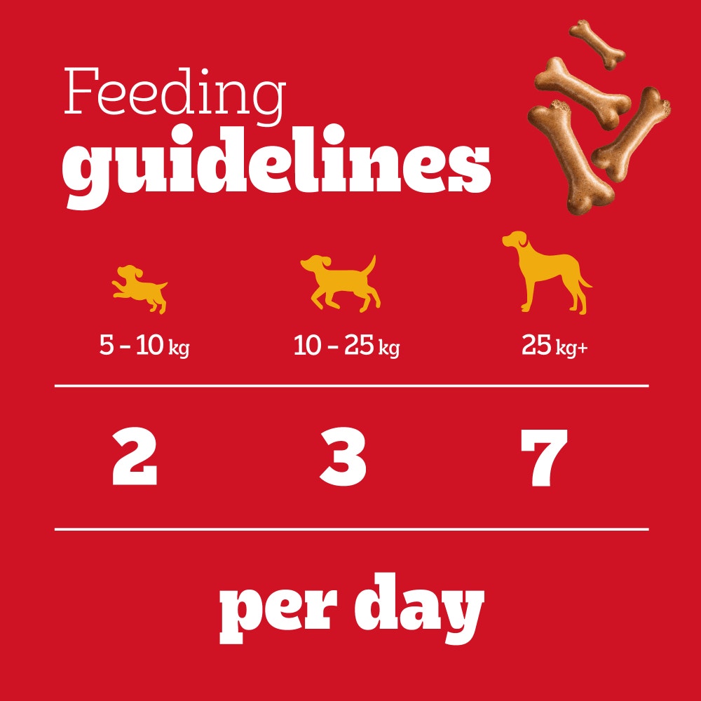 PEDIGREE® BISCROK™ GRAVY BONES Biscuits Dog Treats 10kg, 400g