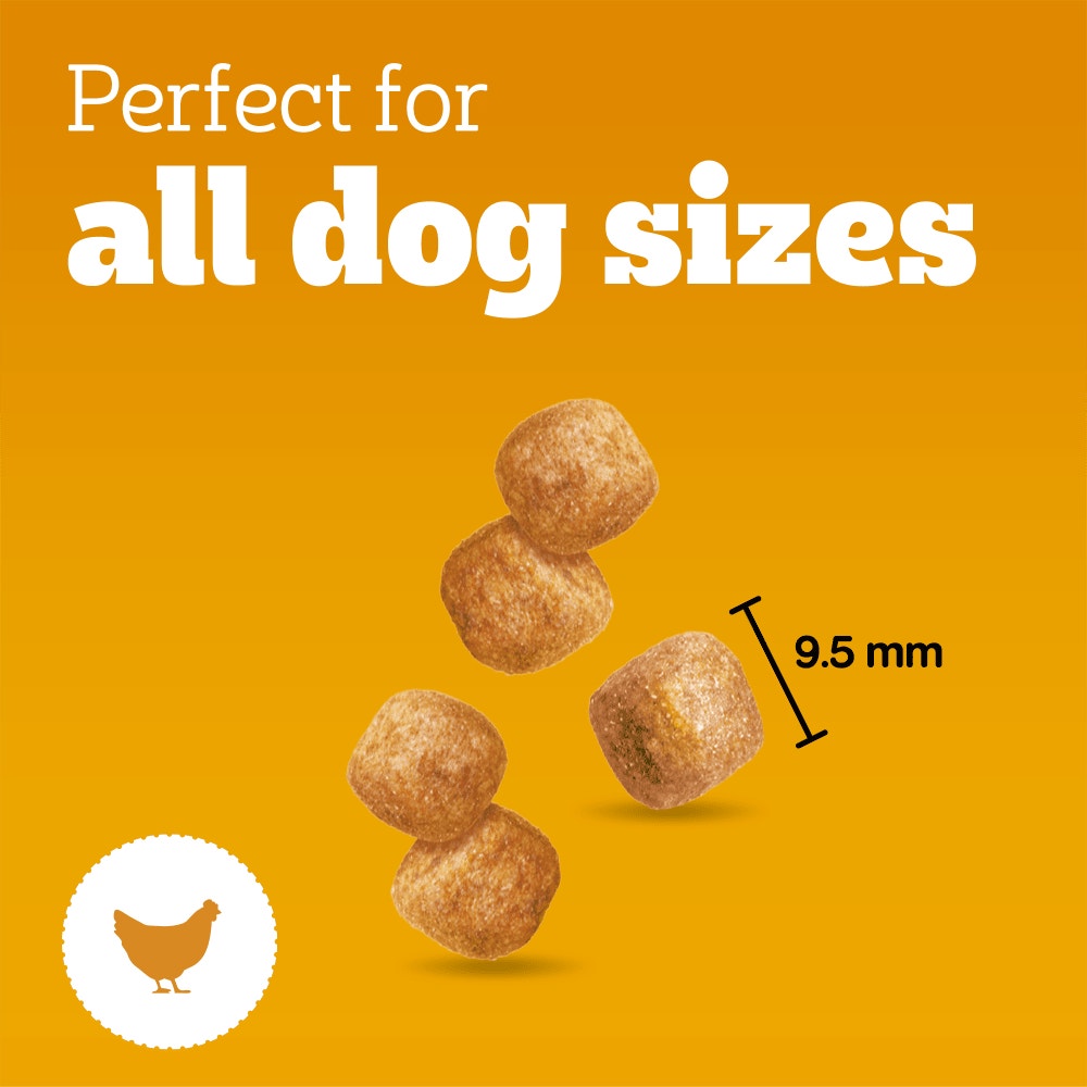 PEDIGREE® TASTY MINIS Puppy Dog Treats Chicken Chewy Cubes 125g
