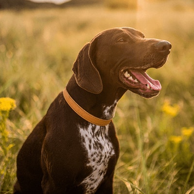 The dos and don’ts