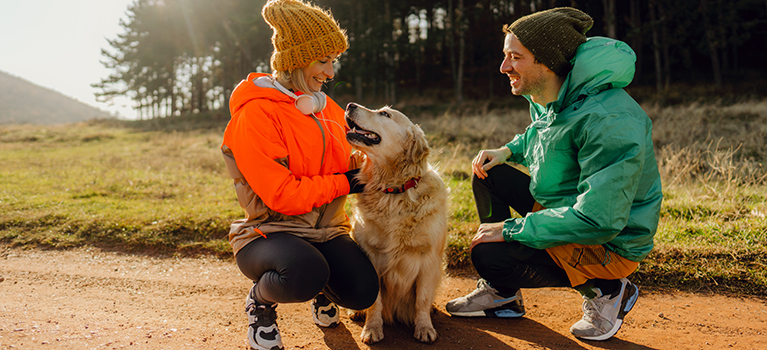 socialisation and dog