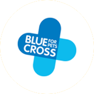 BLUE CROSS