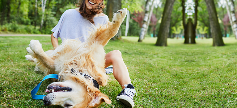 how to bond with your new dog make time for fun